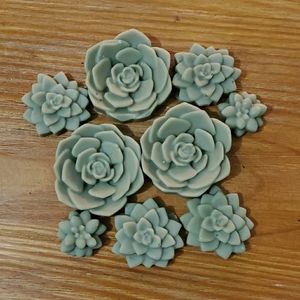 Hand-Poured Succulent Wax Melts
